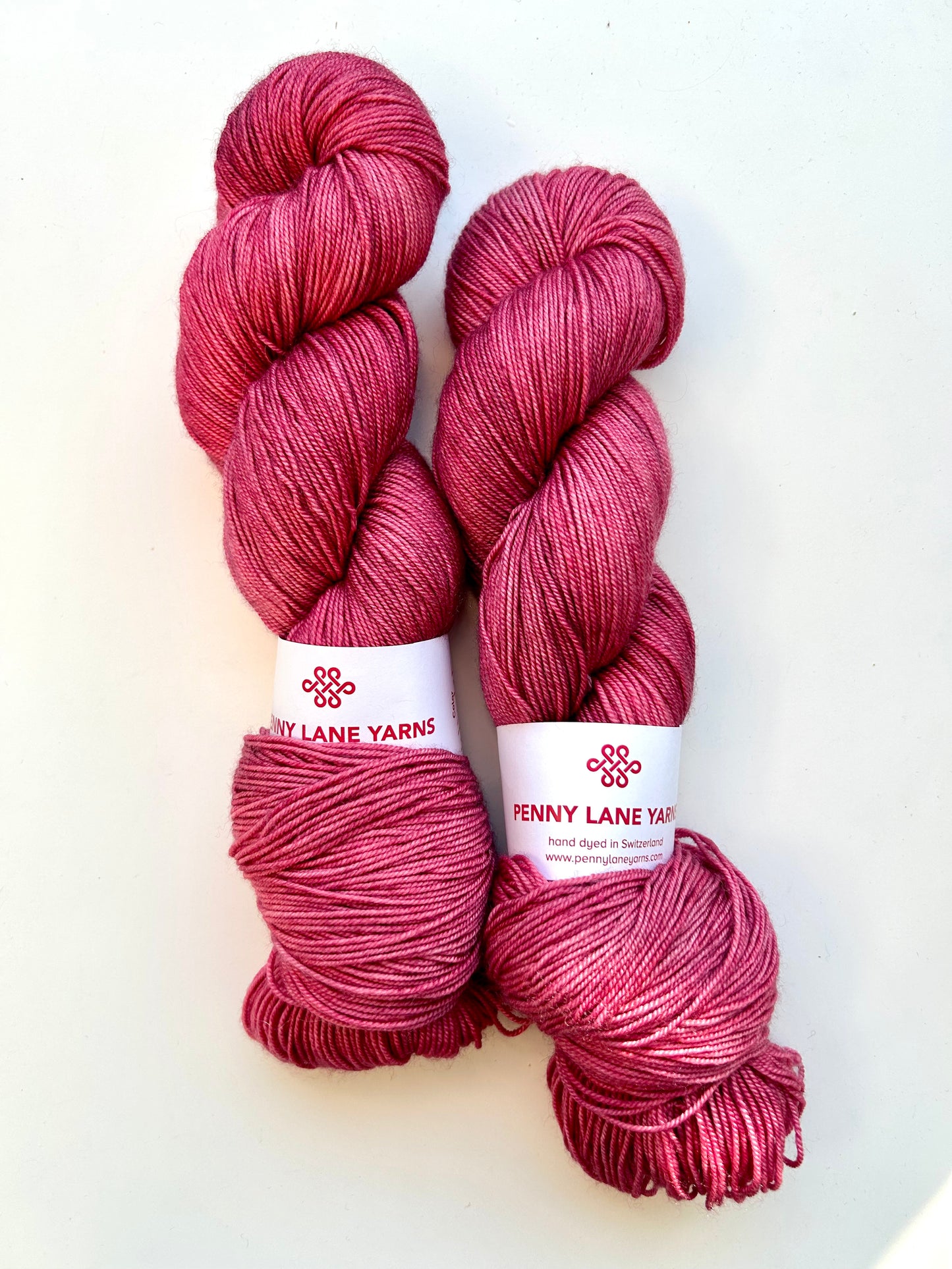 Winter Rose | Dream Lane