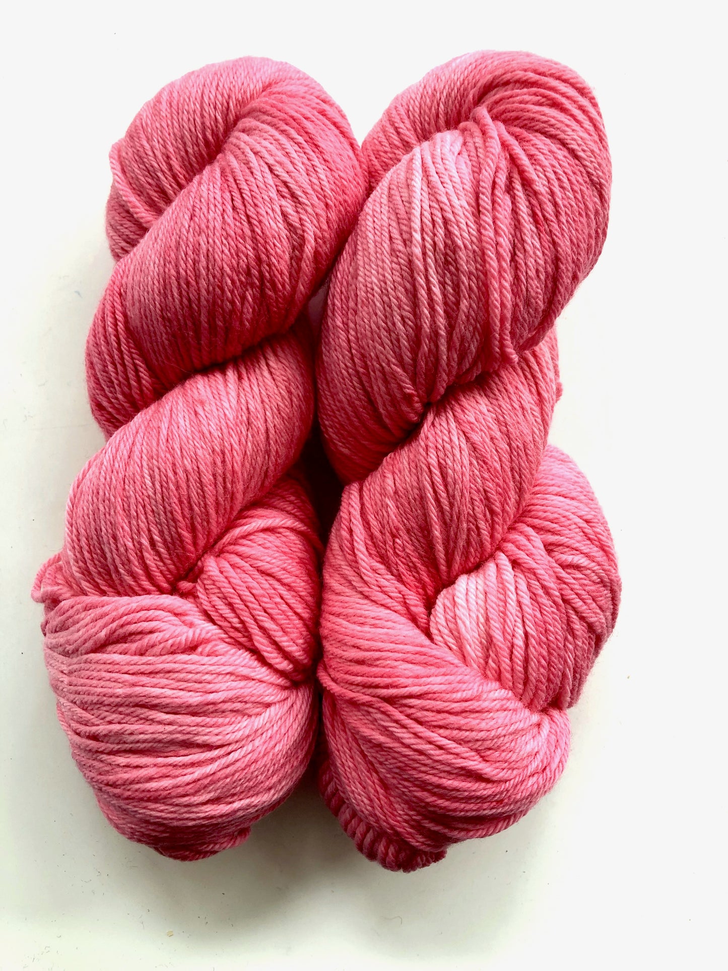 Flamingo | DK Lane