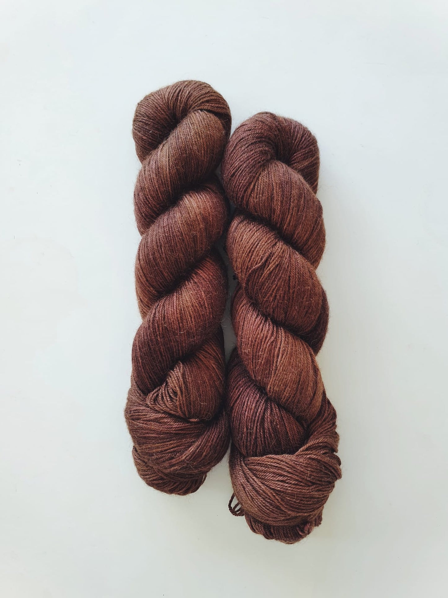 Croquant | Wonder Lane