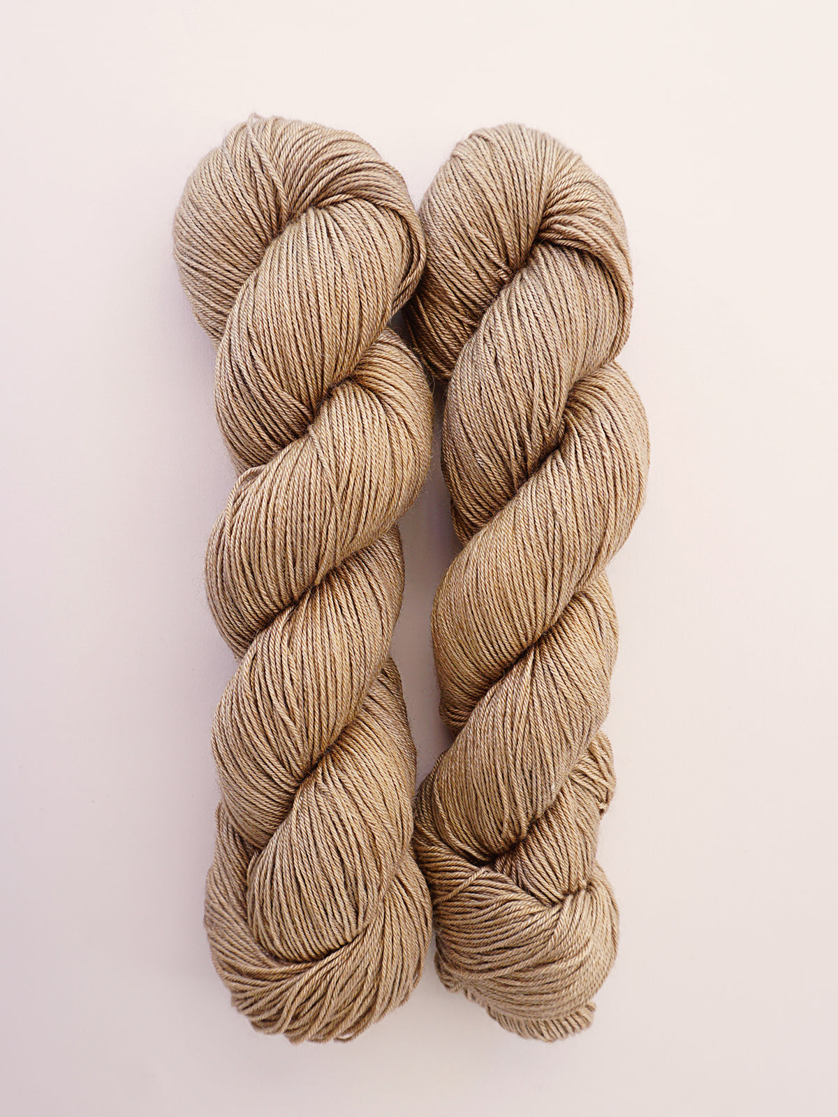 Camel | Wonder Lane