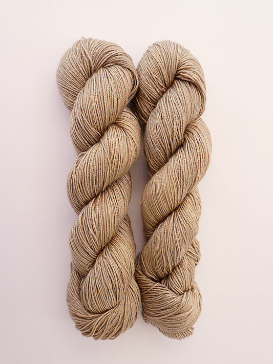 Camel | Wonder Lane